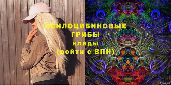 дживик Алзамай