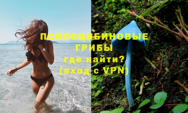 a pvp Алексеевка