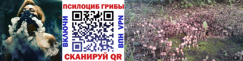mega зеркало  Кондопога  даркнет состав  купить  сайты  Псилоцибиновые грибы мицелий 